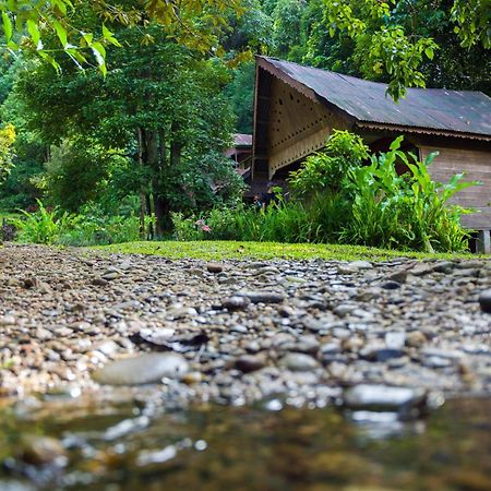 Pak Mus Guest House Ketambe - 0813-7072-1793 Kutacane Dış mekan fotoğraf