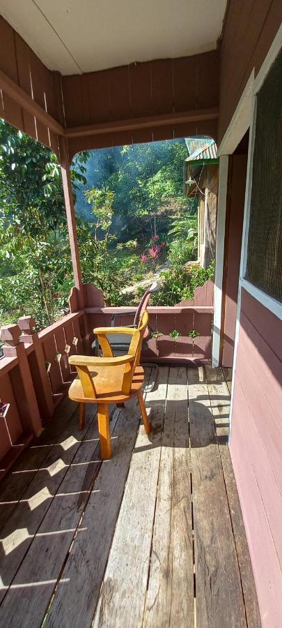Pak Mus Guest House Ketambe - 0813-7072-1793 Kutacane Dış mekan fotoğraf