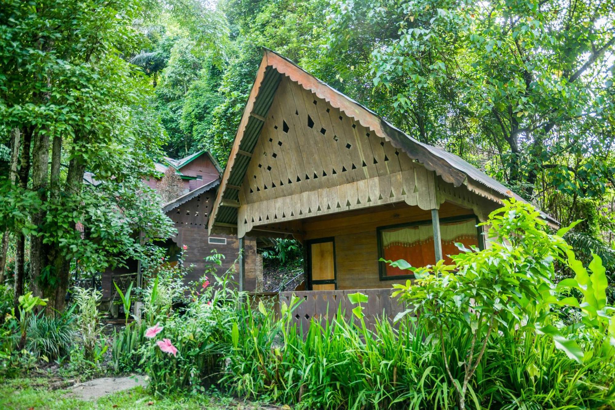 Pak Mus Guest House Ketambe - 0813-7072-1793 Kutacane Dış mekan fotoğraf