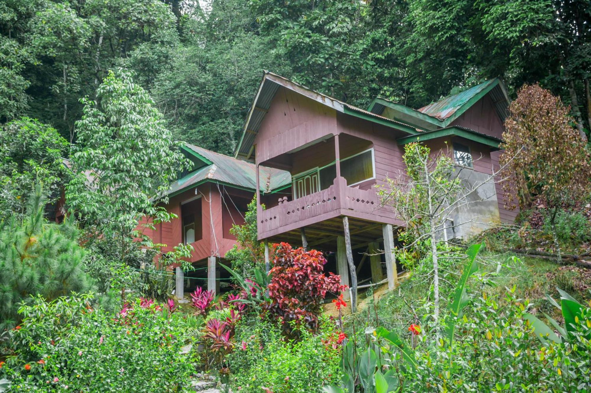 Pak Mus Guest House Ketambe - 0813-7072-1793 Kutacane Dış mekan fotoğraf