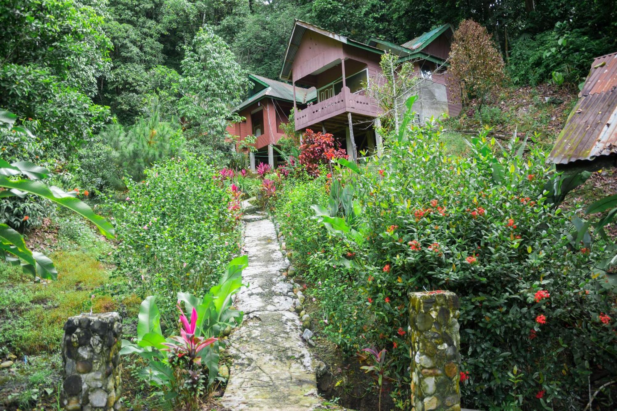 Pak Mus Guest House Ketambe - 0813-7072-1793 Kutacane Dış mekan fotoğraf