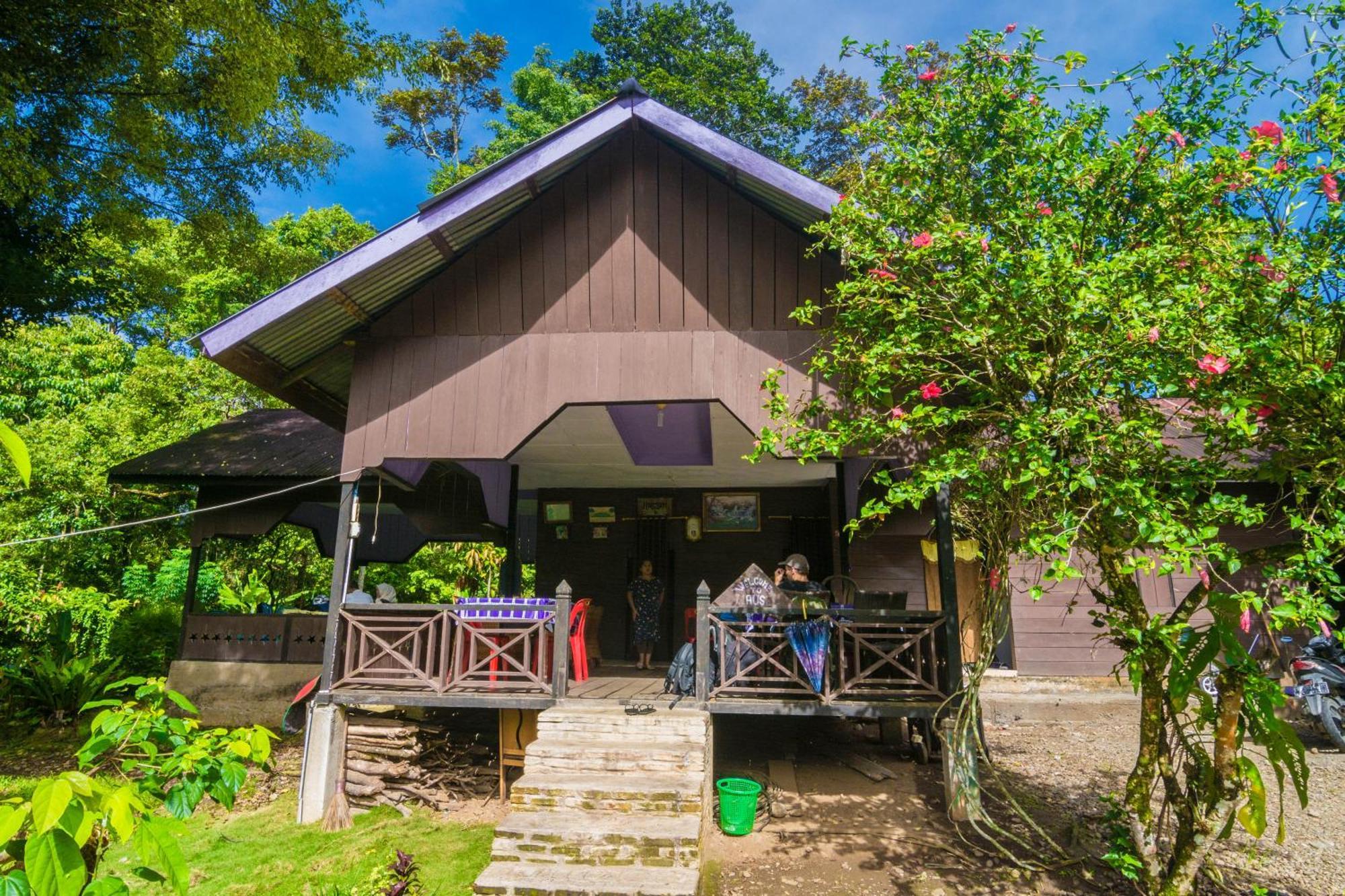 Pak Mus Guest House Ketambe - 0813-7072-1793 Kutacane Dış mekan fotoğraf